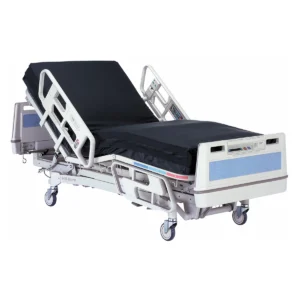 Hospital / ICU Beds